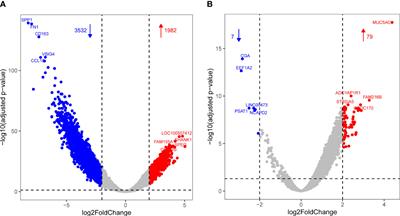 Respiratory immune status and microbiome in recovered COVID-19 patients revealed by metatranscriptomic analyses